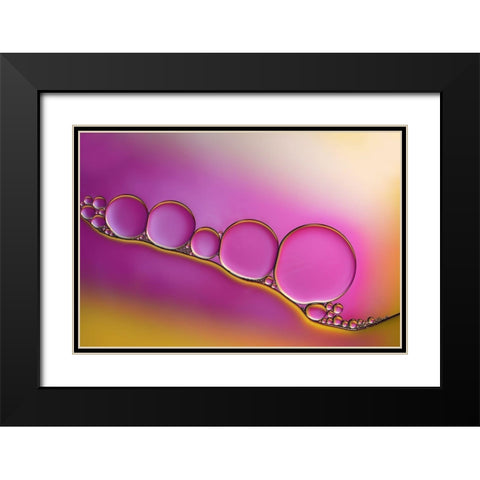 Sweet Blush Black Modern Wood Framed Art Print with Double Matting by Westum, Heidi