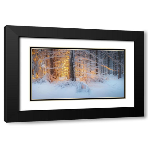 Silent Dream Black Modern Wood Framed Art Print with Double Matting by Jochen, Burger