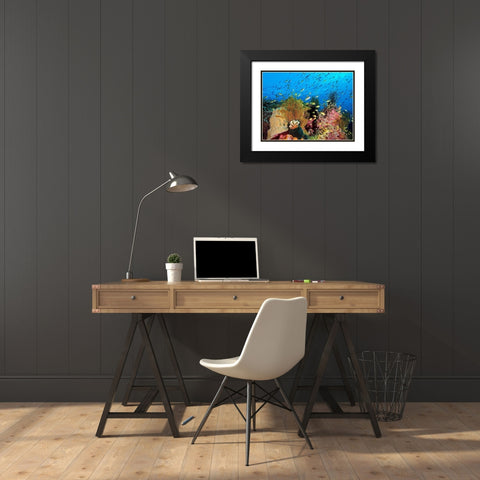 Reef At Cabilao Black Modern Wood Framed Art Print with Double Matting by Jager, Henry