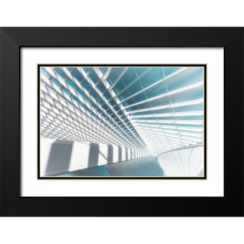 Icy Light Black Modern Wood Framed Art Print with Double Matting by Popan, Adrian