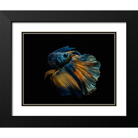 My Dress Black Modern Wood Framed Art Print with Double Matting by Halil, Andi