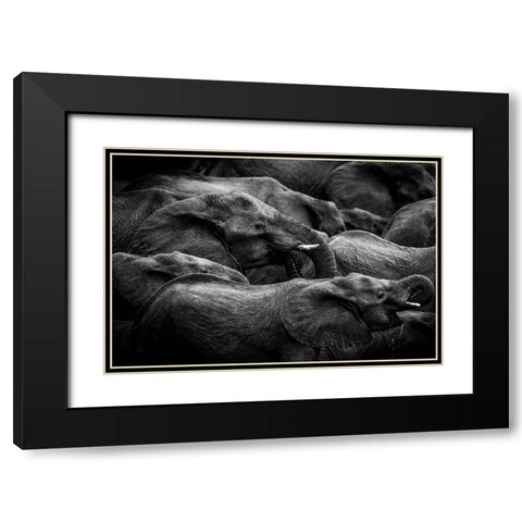 Elephant Herd Black Modern Wood Framed Art Print with Double Matting by Eriksson, Denise