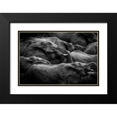 Elephant Herd Black Modern Wood Framed Art Print with Double Matting by Eriksson, Denise