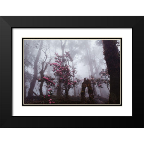 Through The Fog Black Modern Wood Framed Art Print with Double Matting by Kupratsevich, Dmitry