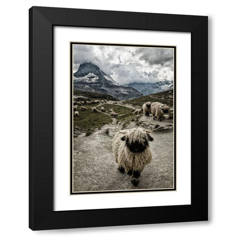 Out Of My Way Black Modern Wood Framed Art Print with Double Matting by Landolt, Susanne