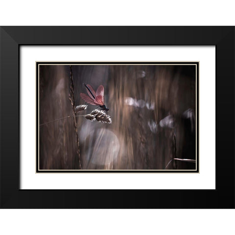 Le Point De Suspension Black Modern Wood Framed Art Print with Double Matting by Bravin, Fabien