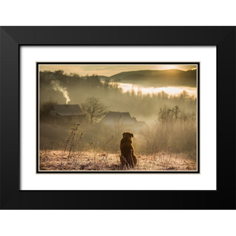 Good Connection Black Modern Wood Framed Art Print with Double Matting by Mazilu, Georgiana