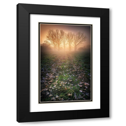 Misty Morning Black Modern Wood Framed Art Print with Double Matting by Rebustini, Luca