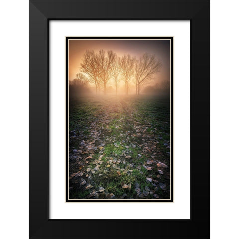 Misty Morning Black Modern Wood Framed Art Print with Double Matting by Rebustini, Luca