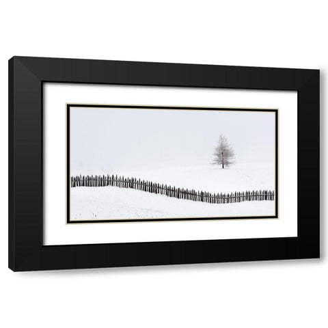 The Larch Behind The Fence Black Modern Wood Framed Art Print with Double Matting by Miribung, Vito