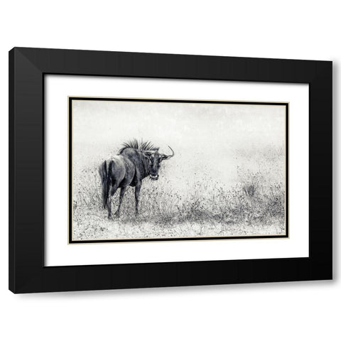 The Endless Grass-Fields Black Modern Wood Framed Art Print with Double Matting by Flour, Piet