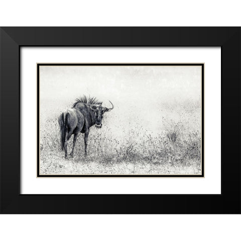 The Endless Grass-Fields Black Modern Wood Framed Art Print with Double Matting by Flour, Piet