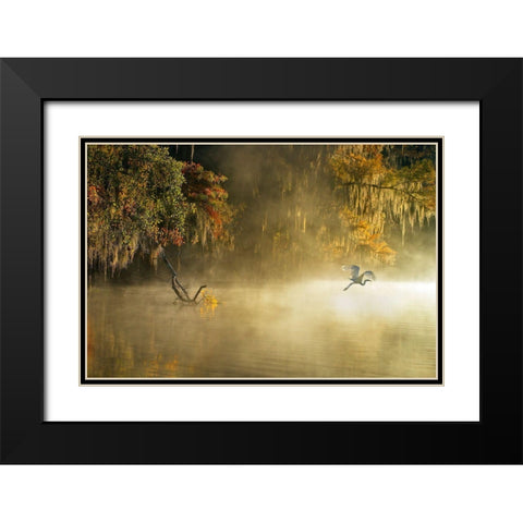 Egret Black Modern Wood Framed Art Print with Double Matting by Zhu, Hua