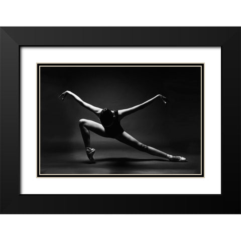 Soaring Black Modern Wood Framed Art Print with Double Matting by Alexandr