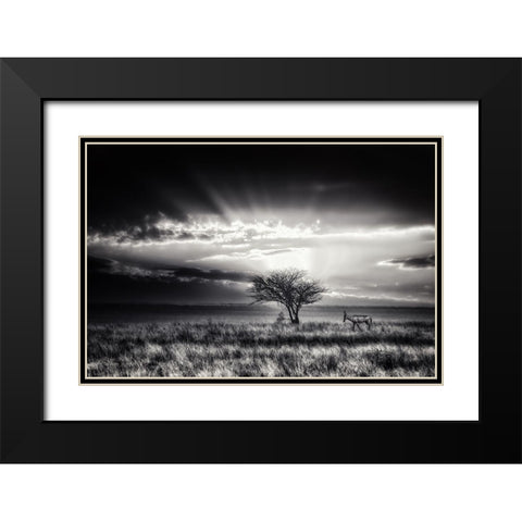 Sunrise With Hartebeest Black Modern Wood Framed Art Print with Double Matting by Flour, Piet