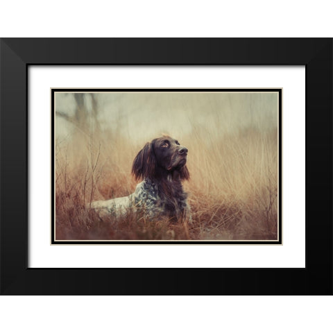 Beautiful Aragorn Black Modern Wood Framed Art Print with Double Matting by Willers, Heike