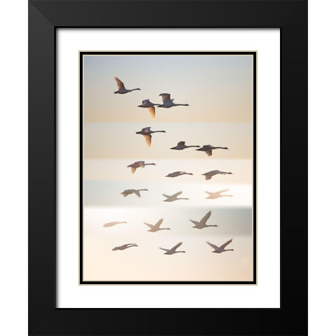 Past The Sun. Black Modern Wood Framed Art Print with Double Matting by Londal, Leif