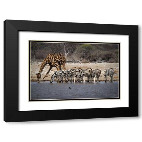 Together At The Bar Black Modern Wood Framed Art Print with Double Matting by Hawerkamp, Hans-Wolfgang