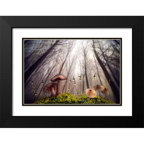 Small And Giant Creatures Of The Woods Black Modern Wood Framed Art Print with Double Matting by Ghizzi Panizza, Alberto