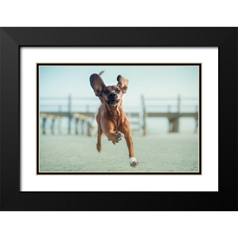 Up-Up To The Sky Black Modern Wood Framed Art Print with Double Matting by Willers, Heike