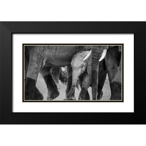 Family Protection Black Modern Wood Framed Art Print with Double Matting by Fan, John