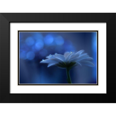 Space Dreams... Black Modern Wood Framed Art Print with Double Matting by Nan, Juliana