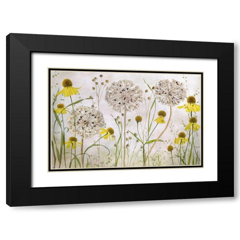 Alliums And Heleniums Black Modern Wood Framed Art Print with Double Matting by Disher, Mandy