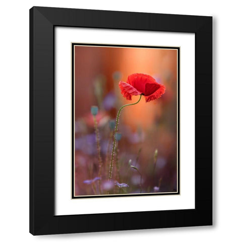 At The End Of The Day. Black Modern Wood Framed Art Print with Double Matting by Moore, Steve