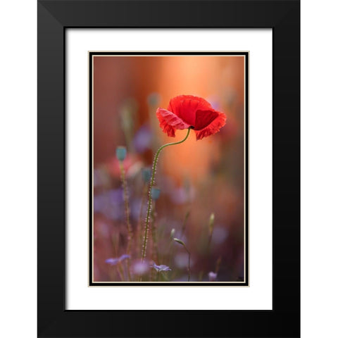 At The End Of The Day. Black Modern Wood Framed Art Print with Double Matting by Moore, Steve