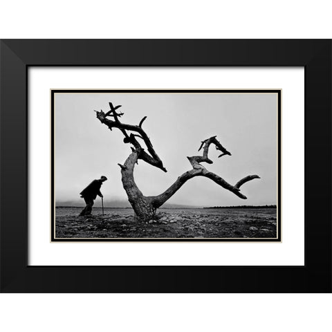 Old Man And Tree Black Modern Wood Framed Art Print with Double Matting by Tang, Wei