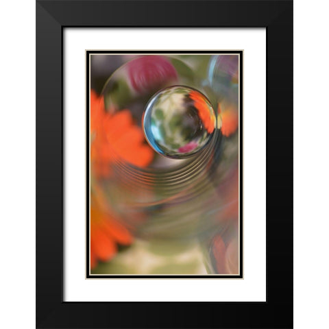 Floral Sphere Black Modern Wood Framed Art Print with Double Matting by Westum, Heidi