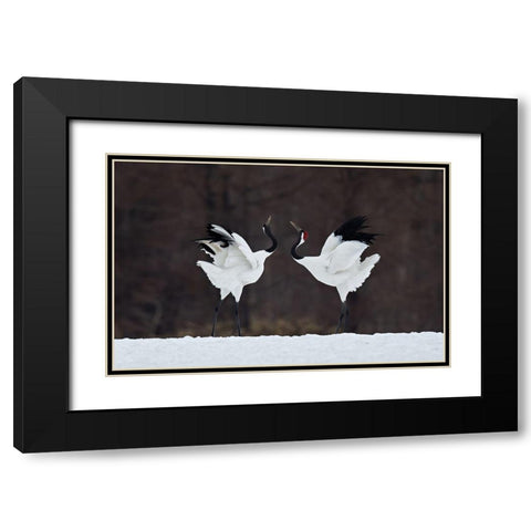 Lovers Black Modern Wood Framed Art Print with Double Matting by Tjandra, C.S.