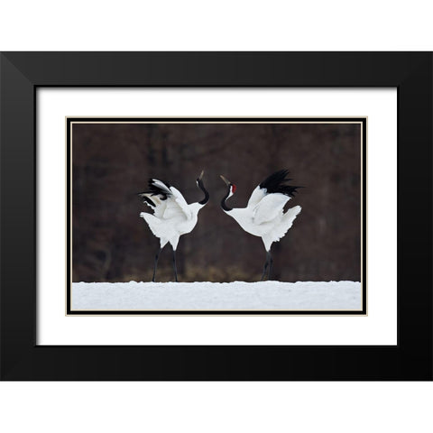 Lovers Black Modern Wood Framed Art Print with Double Matting by Tjandra, C.S.