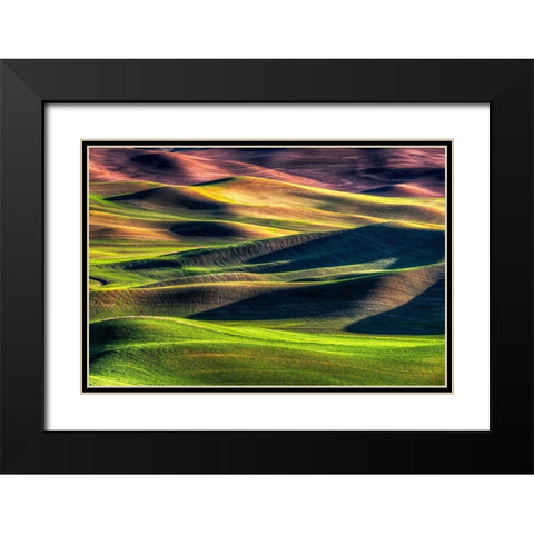 Spring Palette Black Modern Wood Framed Art Print with Double Matting by Smith, Siana
