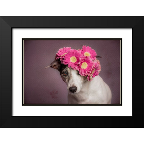 Mrs. Spring Black Modern Wood Framed Art Print with Double Matting by Willers, Heike