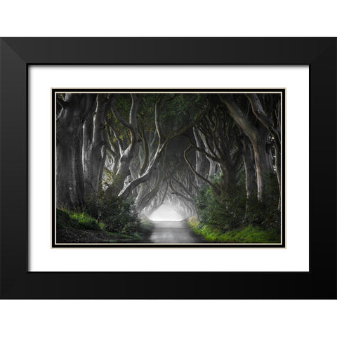 Dark Hedges Black Modern Wood Framed Art Print with Double Matting by Molteni, Nicola