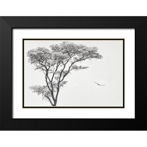 The African Eagle Black Modern Wood Framed Art Print with Double Matting by Flour, Piet