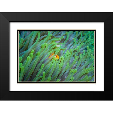 Peek-A-Boo Black Modern Wood Framed Art Print with Double Matting by Setya, Rifky