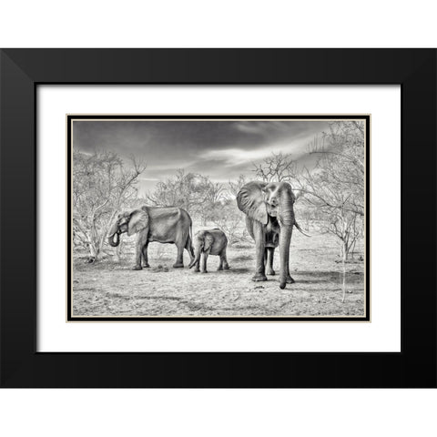 Dry Season (Bw) Black Modern Wood Framed Art Print with Double Matting by Flour, Piet
