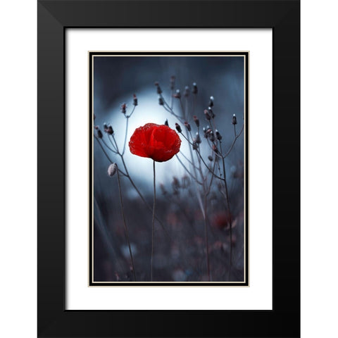Flower Not By Kenzo. By Me Black Modern Wood Framed Art Print with Double Matting by Bravin, Fabien