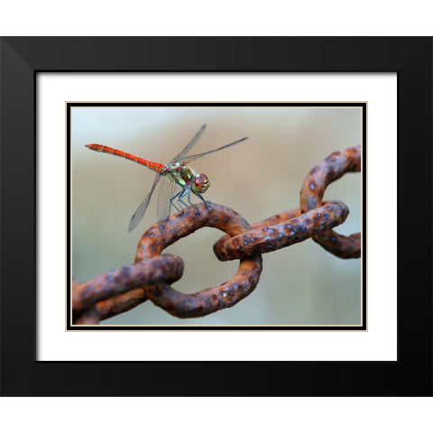 Rusty Black Modern Wood Framed Art Print with Double Matting by Hoffman, Jimmy