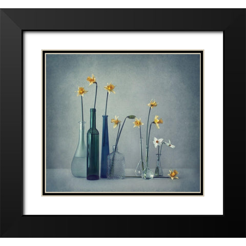 Daffodils Black Modern Wood Framed Art Print with Double Matting by Lazarov, Dimitar