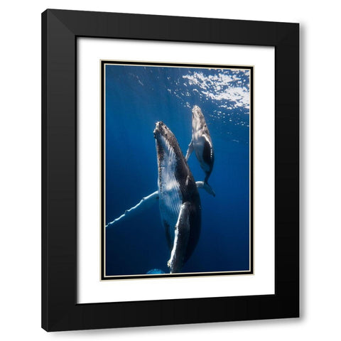 Back To The Surface Black Modern Wood Framed Art Print with Double Matting by Gabriel, Barathieu