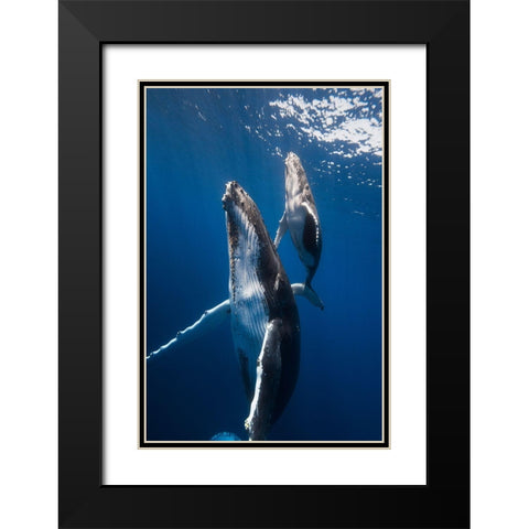 Back To The Surface Black Modern Wood Framed Art Print with Double Matting by Gabriel, Barathieu