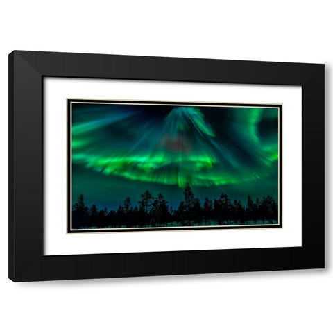 Northern Bell Black Modern Wood Framed Art Print with Double Matting by Schwartz, Yair