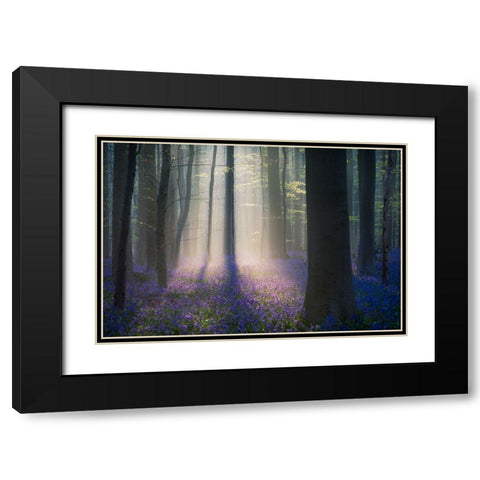 Velvet Light Black Modern Wood Framed Art Print with Double Matting by Popan, Adrian