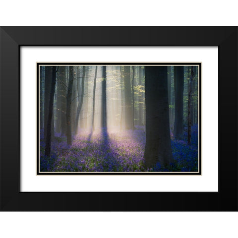 Velvet Light Black Modern Wood Framed Art Print with Double Matting by Popan, Adrian