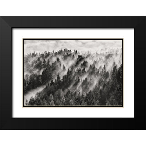 Sundance No.1 Black Modern Wood Framed Art Print with Double Matting by Baloh, Davorin