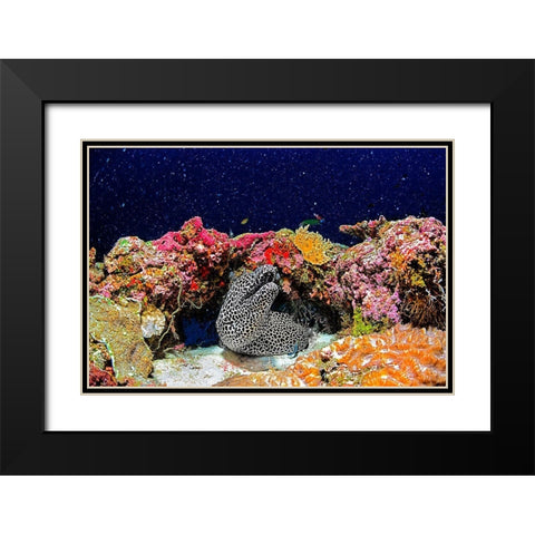 Under The Star Black Modern Wood Framed Art Print with Double Matting by Marchegiani, Roberto