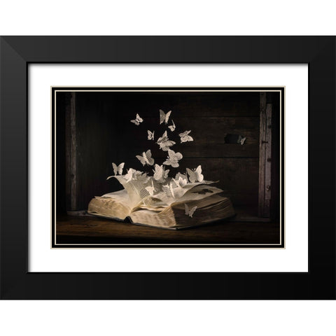 Lepidopterology Black Modern Wood Framed Art Print with Double Matting by Bonadio, Heather